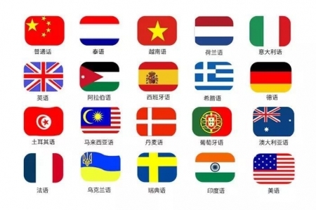 支持世界流语言
