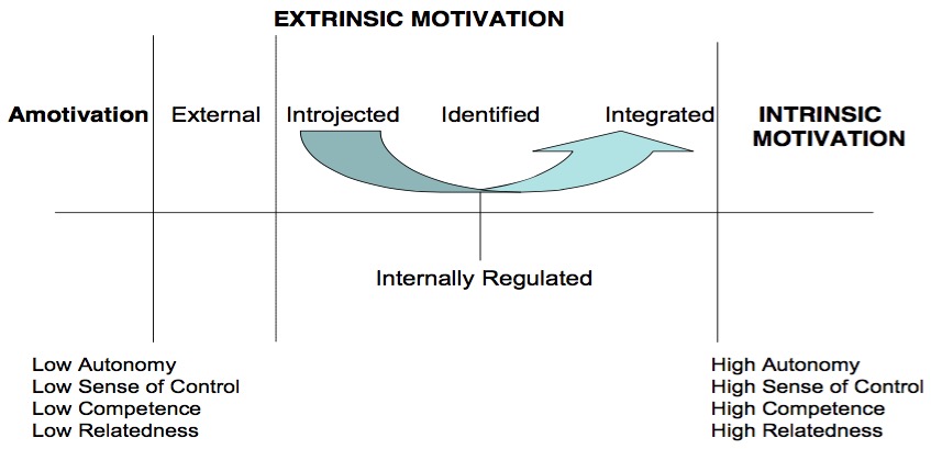figure 1. motivation continuum (ryan & deci, 2000).