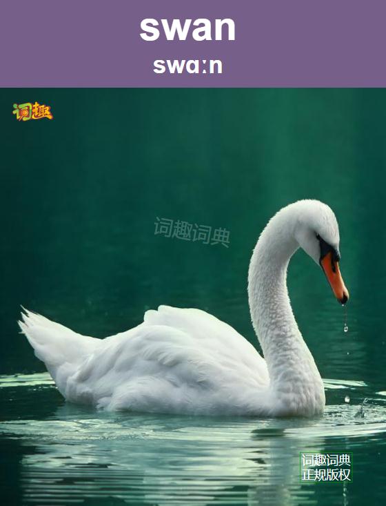 天鹅swan关闭返回上一级