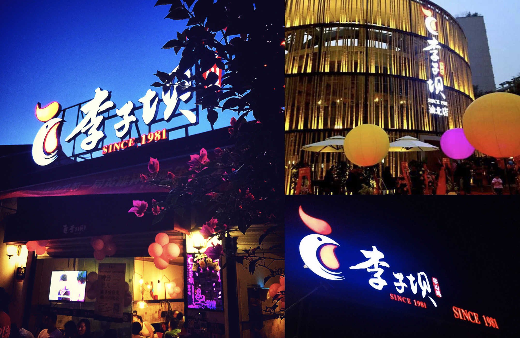 李子坝梁山鸡品牌设计VI-6