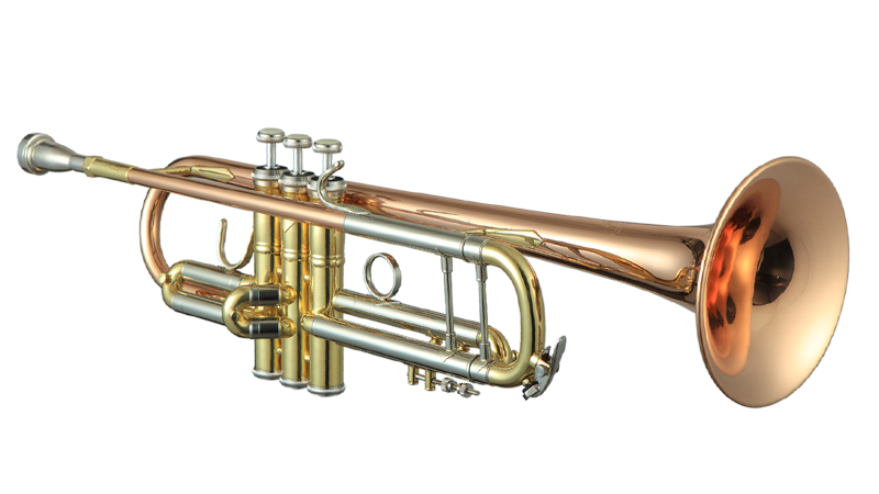 帕克萨克斯 长笛 单簧管 小号 乐器 | ptp-300g小号