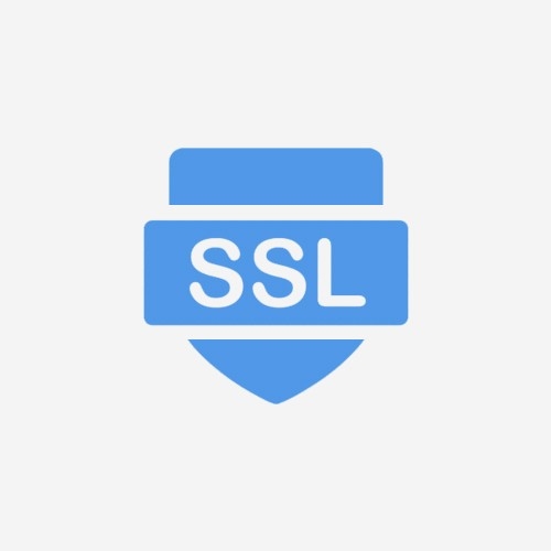 DV SSL安全证书 年费