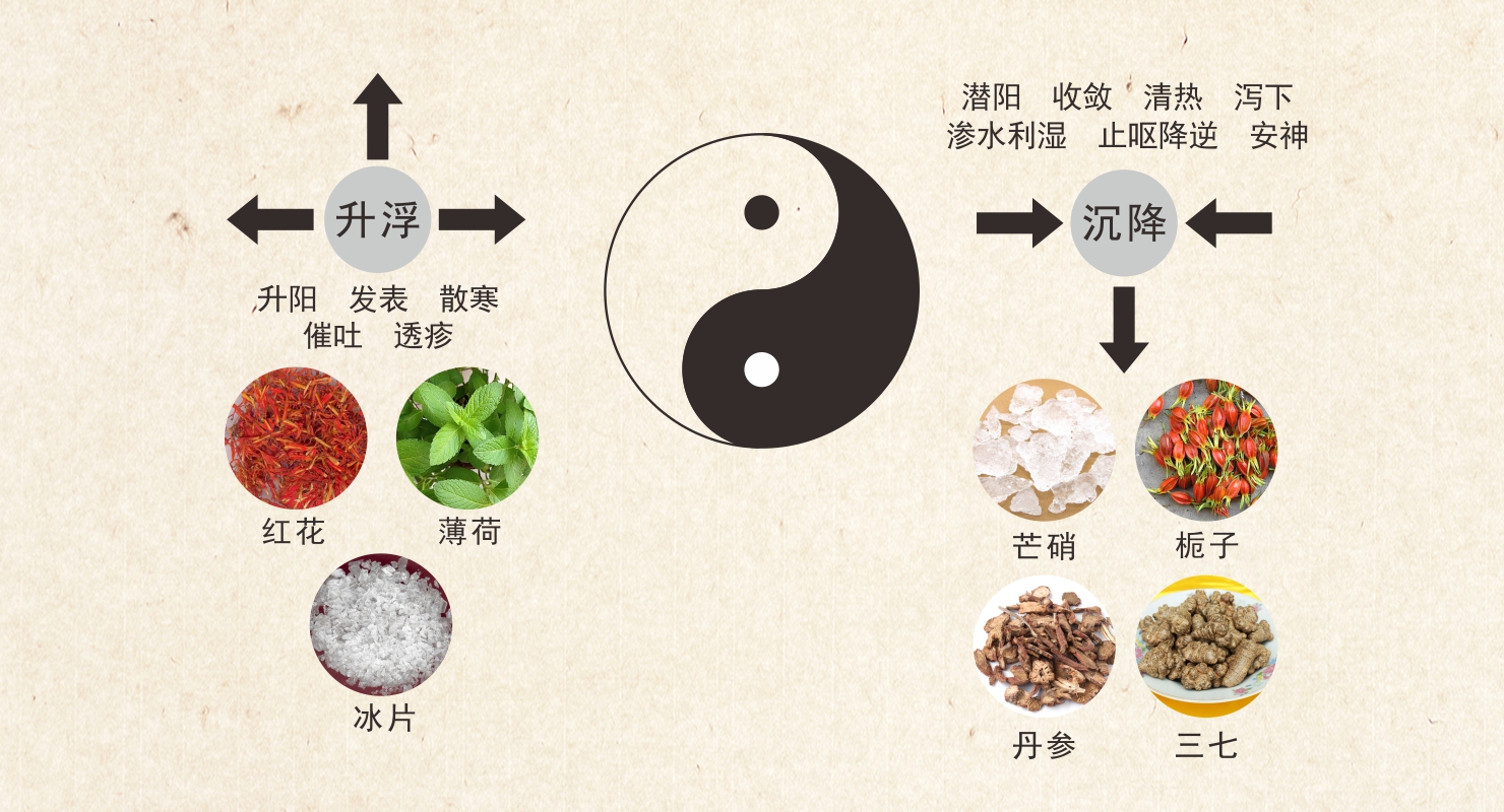 珠海天然药物研究所 | 中药理论