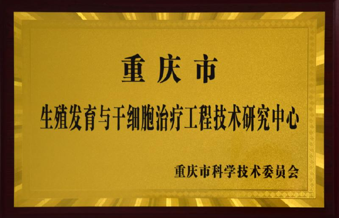 证书-03