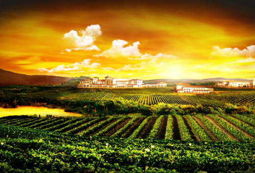 蓬莱南王山谷葡萄酒旅游小镇
