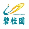 碧桂园
