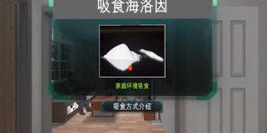 04.海洛因吸食