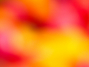 colorful abstract background soft focus light art defocus blur motion energy bokeh hd wallpaper red orange backdrop red orange yellow blurred 模糊 黄色 桔黄色的 红色 背景 桔黄色的 红色 HD墙纸 博克 能量 运动 模糊 离焦 艺术 灯 聚焦 软 背景 摘要 五彩缤纷