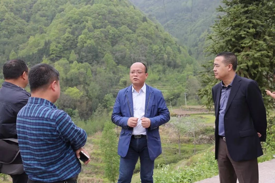 https://mmbiz.qpic.cn/mmbiz_jpg/ibJw7CGhpbhJBwGJOe4LU77mer0GCMJqoc85CibPlboPISMhw7ka1FwZH1JMA0ubHiaO7FPXVDB7n8B3mZ0U2dANQ/640?wx_fmt=jpeg&wxfrom=5&wx_lazy=1&wx_co=1