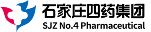 ssy_logo_cai03