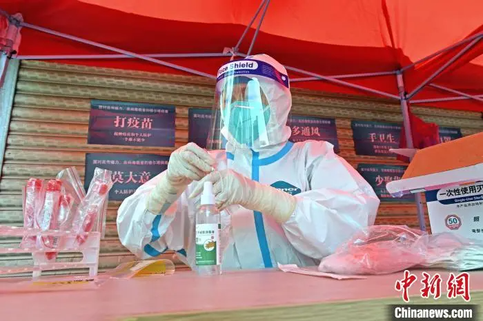 医务人员整理核酸样本。 林弘梫 摄 图片