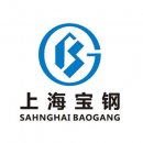 上海寶鋼logo