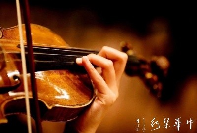 violin2